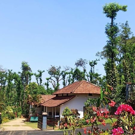 Emerald Castle Villa 马迪凯里 外观 照片