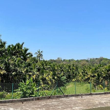 Emerald Castle Villa 马迪凯里 外观 照片